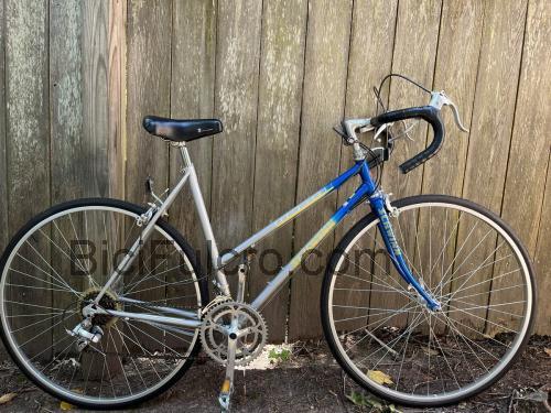 Schwinn World Sport scheda tecnica 